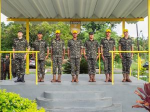 Formatura de Apresentação de Oficial e Referência aos Militares Elogiados em Serviço Externo - 28 MAR 17
